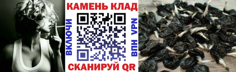 Купить  Нея  ГАШ гарик 