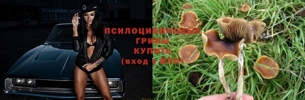 Альфа ПВП Кодинск